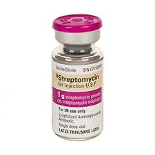 STREPTOMYCIN SULFATE 1GM INJ I.M (GENERIC), 1 VIAL