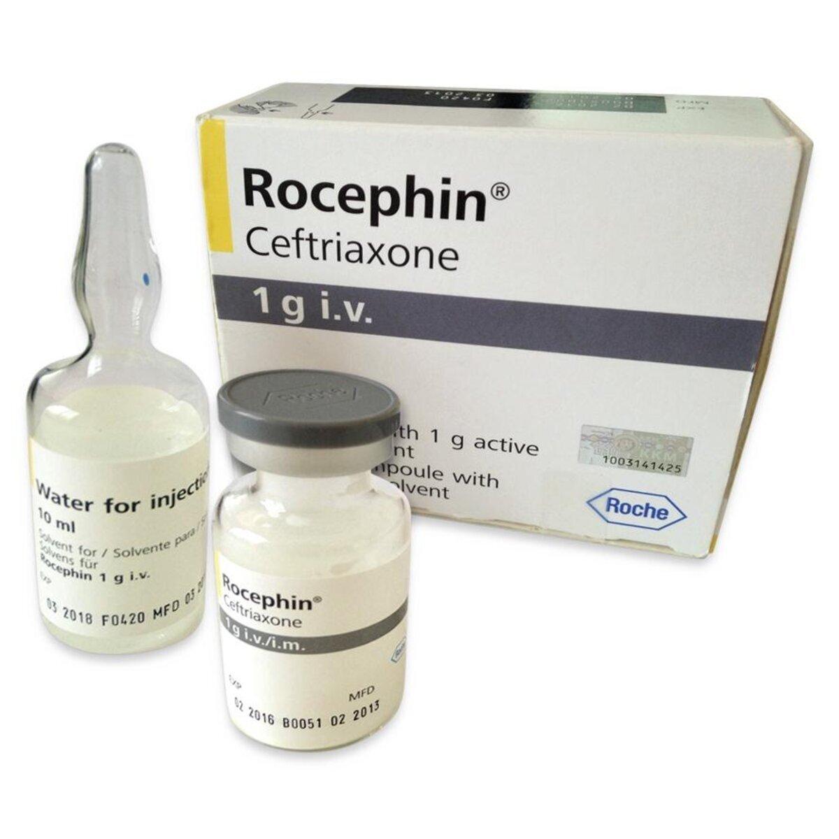 ROCEPHIN 1 GM IV 1 VIAL
